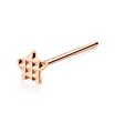 Checked Star Silver Straight Nose Stud NSKA-03b